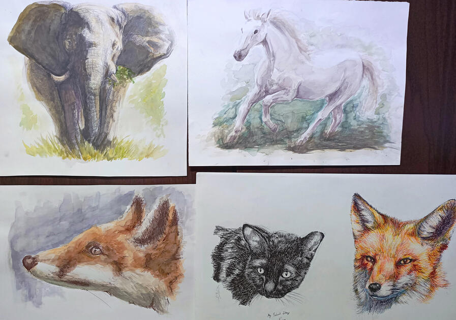 Animal drawings - Paint + Ink