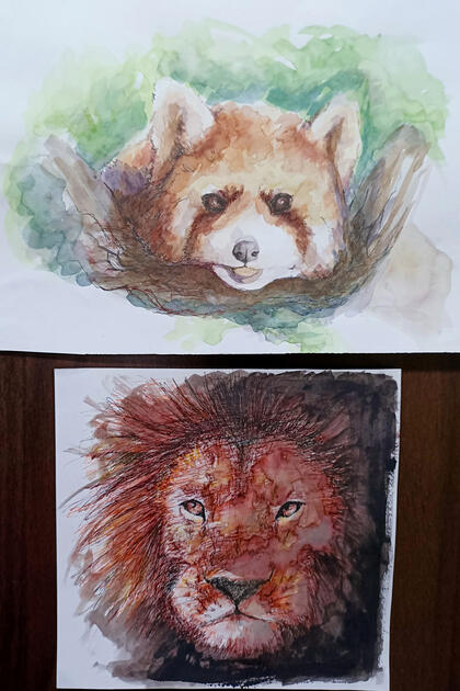 Animal drawings - Paint + Ink